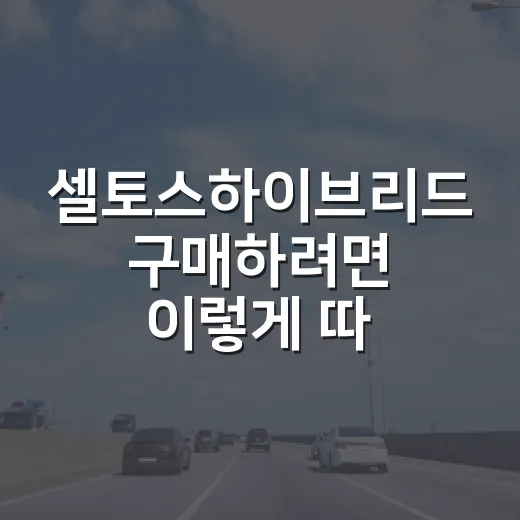 셀토스하이브리드 구매하려면 이렇게 따져보는 방법 - 요약