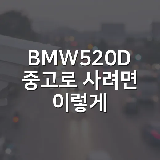 BMW520D 중고로 사려면 이렇게 확인하세요: 연비, 고질병, 유지비 체크 방법 - 요약