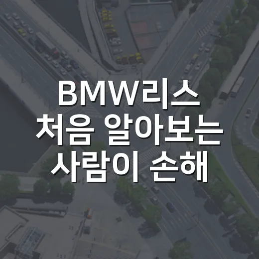 BMW리스 처음 알아보는 사람이 손해 줄이는 방법 - 요약