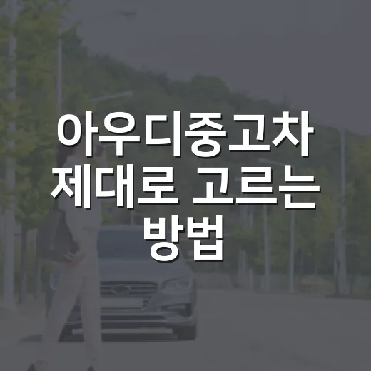 아우디중고차 제대로 고르는 방법, 수입차 초보가 놓치기 쉬운 체크포인트 - 요약