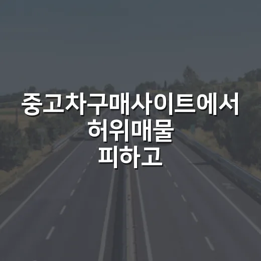 중고차구매사이트에서 허위매물 피하고 좋은 차 고르는 방법 - 요약