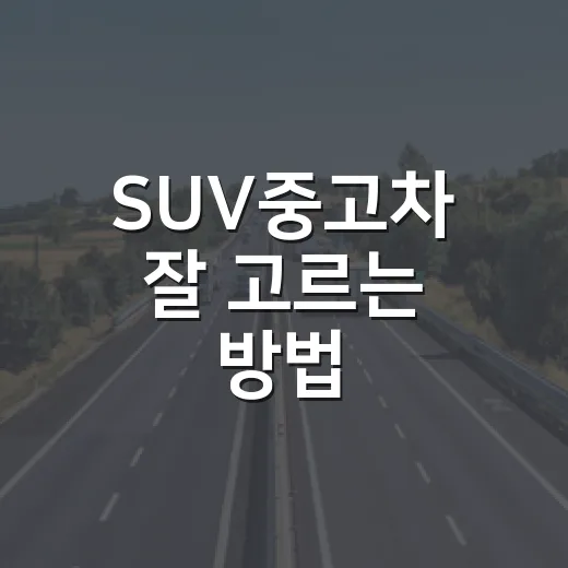 SUV중고차 잘 고르는 방법, 초보자가 놓치기 쉬운 체크포인트 - 요약