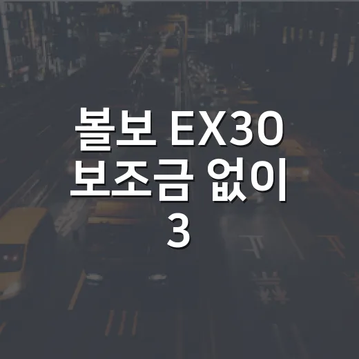 볼보 EX30 보조금 없이 3,991만원에 사려면 이렇게 따져야 합니다 - 요약