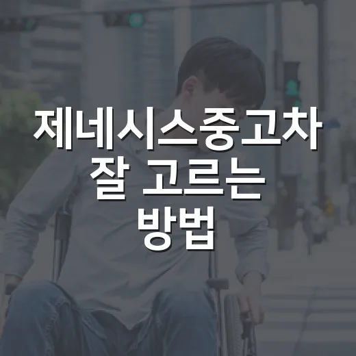제네시스중고차 잘 고르는 방법, 예산별로 후회 줄이는 체크포인트 - 요약