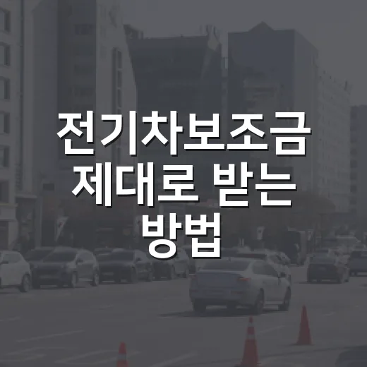 전기차보조금 제대로 받는 방법, 계약 전에 확인할 순서 - 요약