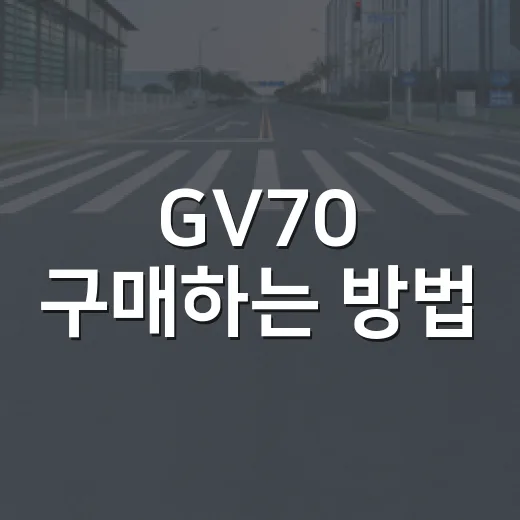 GV70 구매하는 방법, 2.5 터보와 옵션을 이렇게 고르면 됩니다 - 요약