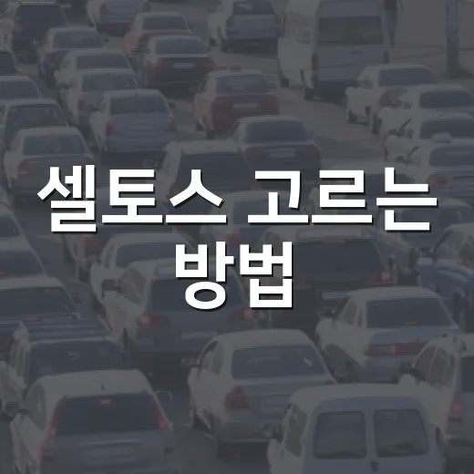 셀토스 고르는 방법, 가솔린 터보와 하이브리드 트림 선택은 이렇게 잡으면 됩니다 - 요약