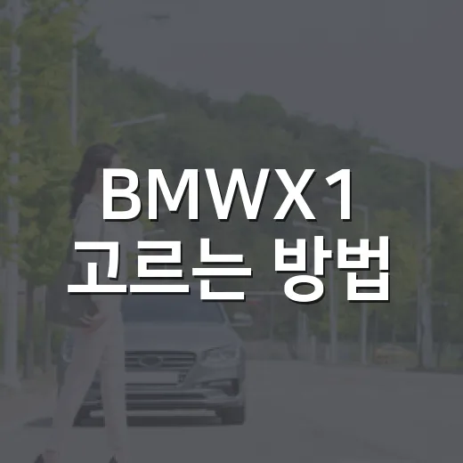 BMWX1 고르는 방법: 가솔린·디젤·옵션까지 현실적으로 따져보기 - 요약