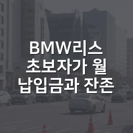BMW리스 초보자가 월 납입금과 잔존가치 따져 계약하는 방법 - 요약