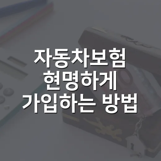 자동차보험 현명하게 가입하는 방법, 초보 운전자도 이렇게 고르면 됩니다 - 요약