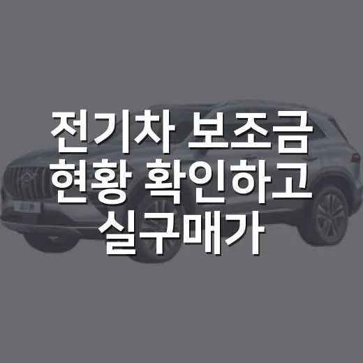 전기차 보조금 현황 확인하고 실구매가 계산하는 방법 - 요약