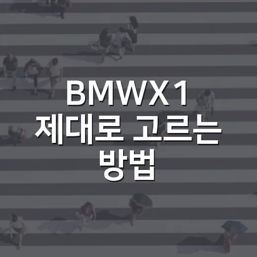 BMWX1 제대로 고르는 방법, 엔진부터 옵션까지 현실적으로 보는 법 - 요약