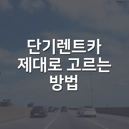 단기렌트카 제대로 고르는 방법, 가격보다 먼저 봐야 할 것들 - 요약