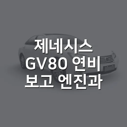 제네시스 GV80 연비 보고 엔진과 옵션 고르는 방법 - 요약