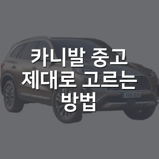 카니발 중고 제대로 고르는 방법, 7인승 9인승 시세와 체크포인트 - 요약