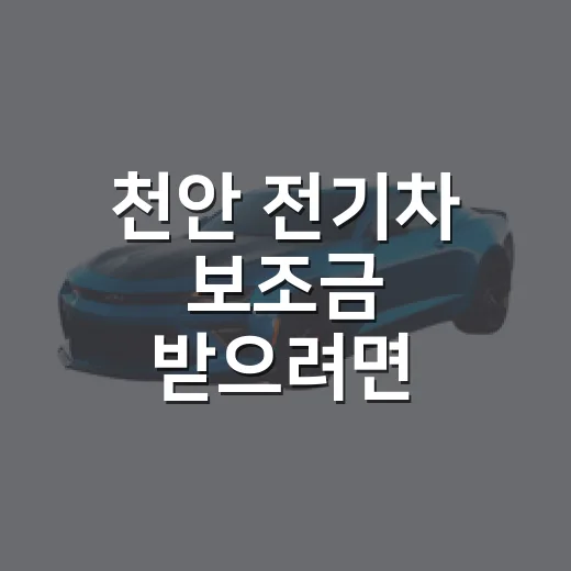 천안 전기차 보조금 받으려면 이렇게 확인하는 방법 - 요약