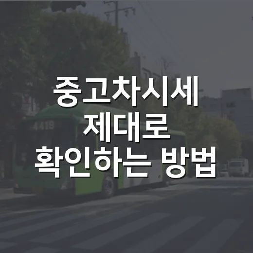 중고차시세 제대로 확인하는 방법, 초보자는 이렇게 비교하면 됩니다 - 요약