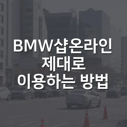 BMW샵온라인 제대로 이용하는 방법, 순정 액세서리 고를 때 이렇게 보세요 - 요약