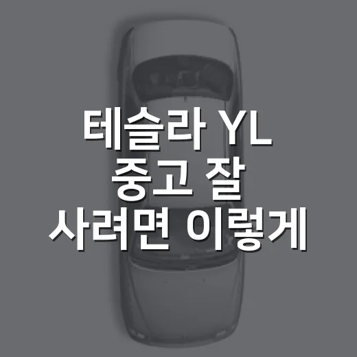 테슬라 YL 중고 잘 사려면 이렇게 고르세요 - 요약