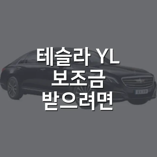 테슬라 YL 보조금 받으려면 이렇게 계산하는 방법 - 요약
