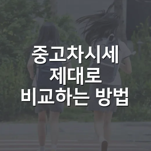 중고차시세 제대로 비교하는 방법 - 요약