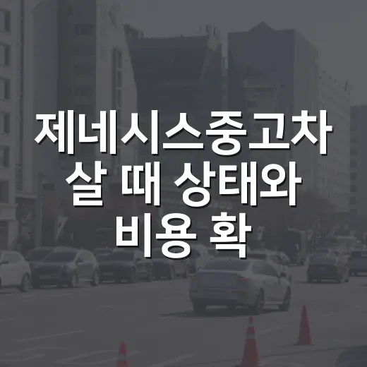 제네시스중고차 살 때 상태와 비용 확인하는 방법 - 요약