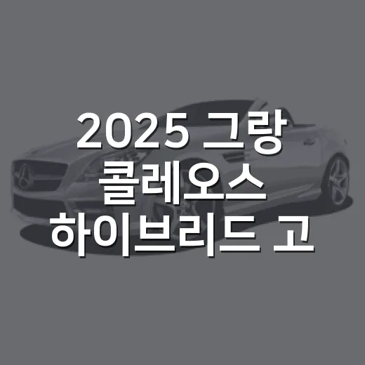 2025 그랑 콜레오스 하이브리드 고르는 방법 - 요약