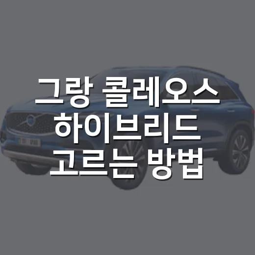 그랑 콜레오스 하이브리드 고르는 방법 - 요약