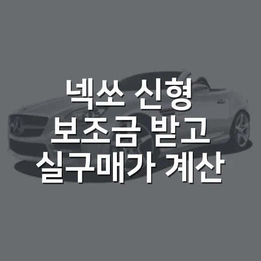넥쏘 신형 보조금 받고 실구매가 계산하는 방법 - 요약