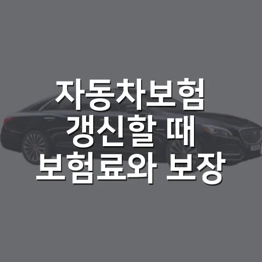 자동차보험 갱신할 때 보험료와 보장 함께 확인하는 방법 - 요약