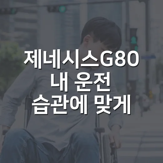 제네시스G80 내 운전 습관에 맞게 고르는 방법 - 요약