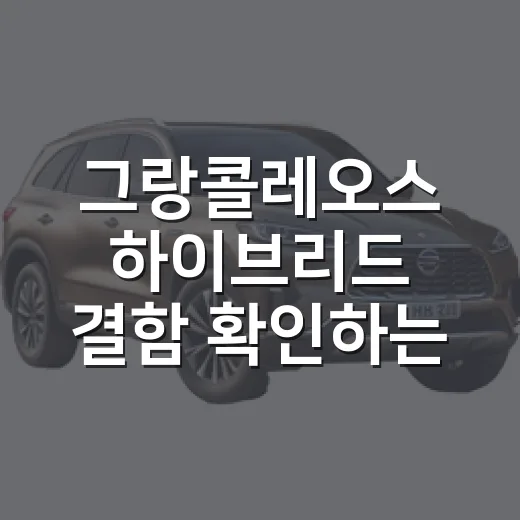 그랑콜레오스 하이브리드 결함 확인하는 방법 - 요약