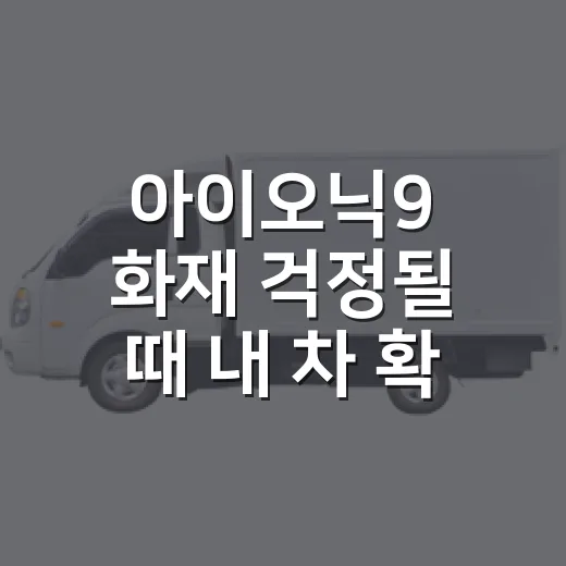 아이오닉9 화재 걱정될 때 내 차 확인하는 방법 - 요약