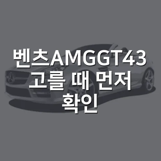 벤츠AMGGT43 고를 때 먼저 확인하는 방법 - 요약