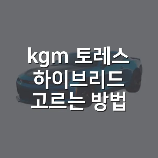 kgm 토레스 하이브리드 고르는 방법 - 요약