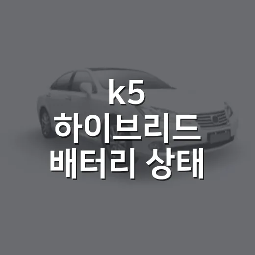 k5 하이브리드 배터리 상태 확인하고 관리하는 방법 - 요약