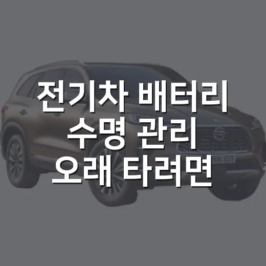 전기차 배터리 수명 관리 오래 타려면 이렇게 - 요약