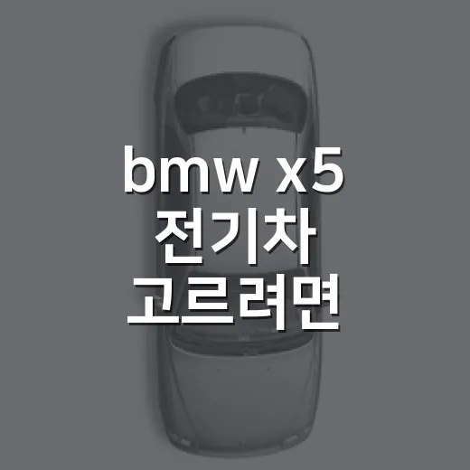 bmw x5 전기차 고르려면 iX5와 50e부터 구분하세요 - 요약