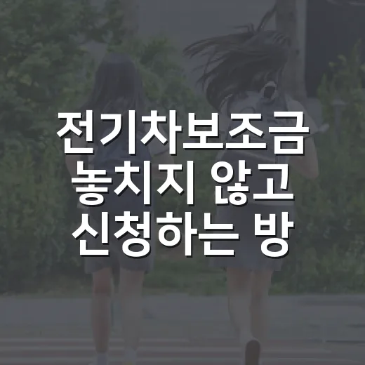 전기차보조금 놓치지 않고 신청하는 방법 - 요약