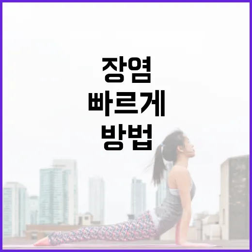 장염에서 빠르게 회복하는 방법: 전문가의 팁 - 요약