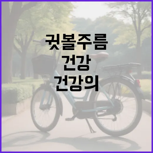 귓볼주름과 건강의 관계: 알아두면 좋은 정보 - 요약