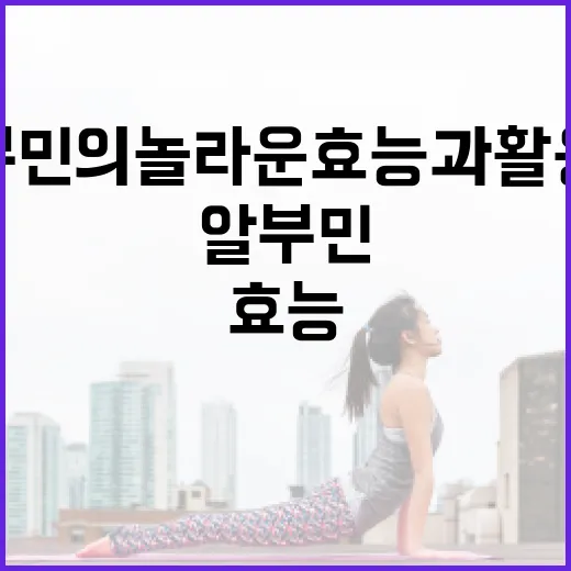 알부민의 놀라운 효능과 활용법 - 요약