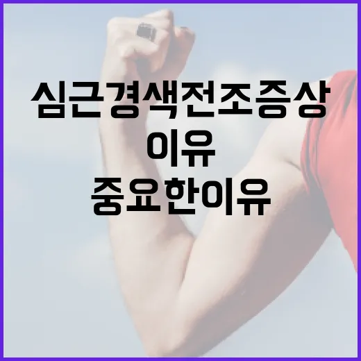 심근경색 전조증상을 아는 것이 중요한 이유 - 요약