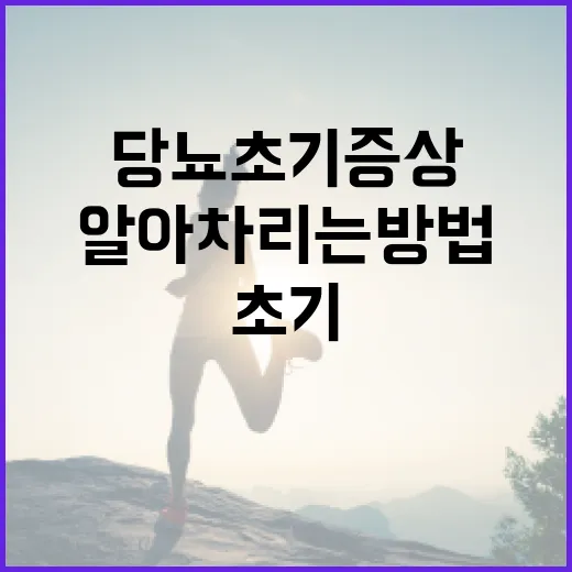 당뇨 초기증상 알아차리는 방법 - 요약