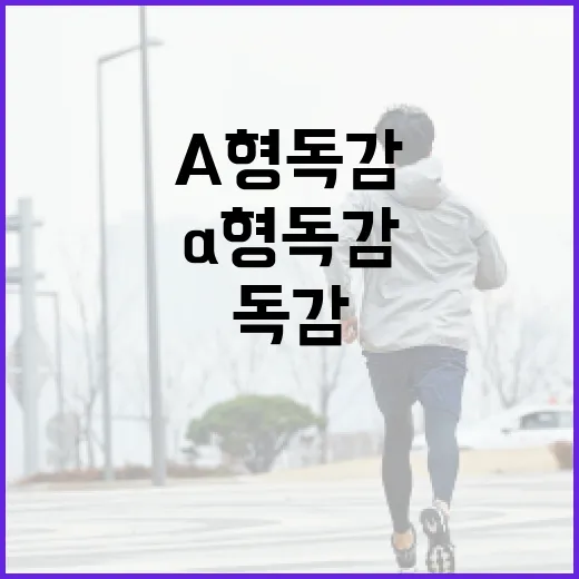 A형 독감, 이렇게 준비하세요! - 요약