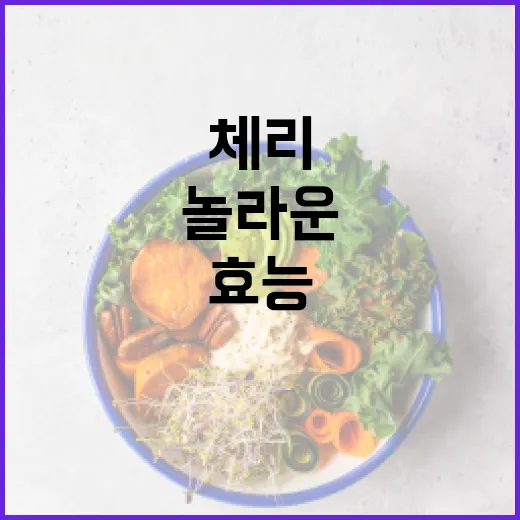 체리의 놀라운 효능을 알아보는 방법 - 요약