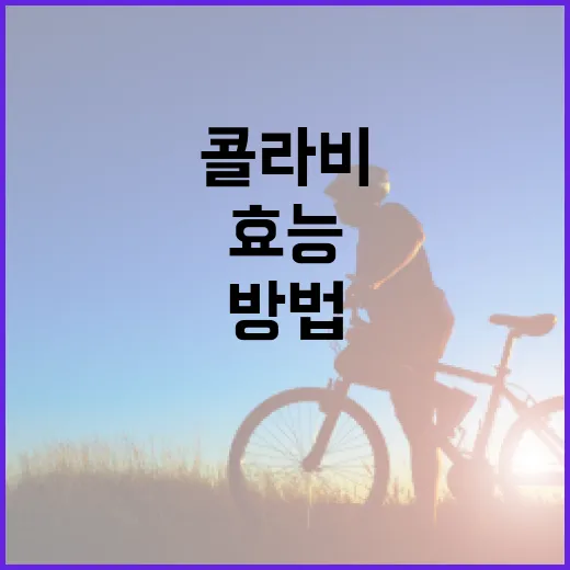 콜라비의 효능을 최대화하는 방법 - 요약