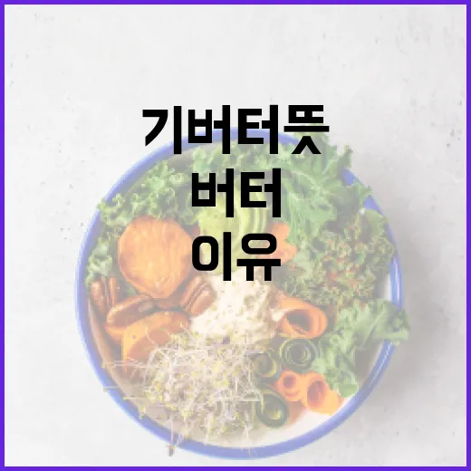 기버터 뜻과 사용 방법: 건강에 유익한 이유 - 요약