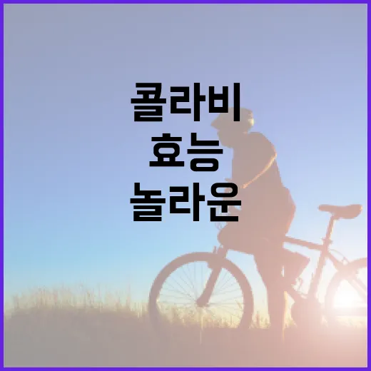 콜라비의 놀라운 효능을 알아보는 방법 - 요약