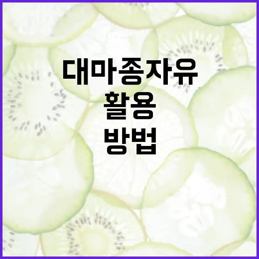 대마종자유를 건강하게 활용하는 방법 - 요약